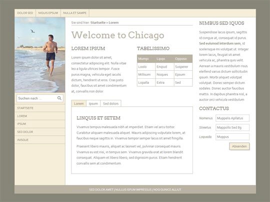 Vorschau des Siquando Pro Web Styles Chicago