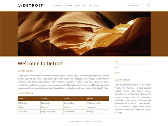 Screenshot des Siquando Pro Templates Detroit
