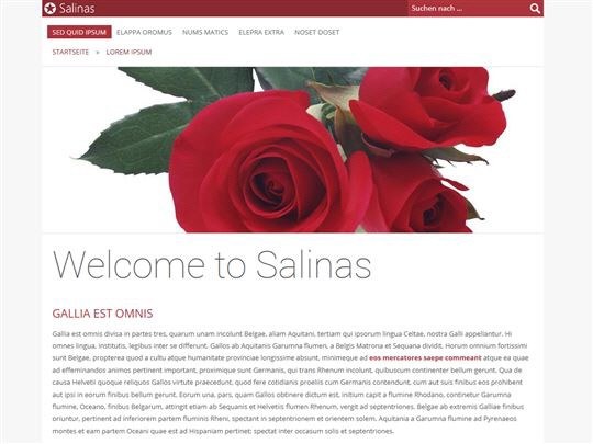 Vorschau des Pro Web Design Salinas